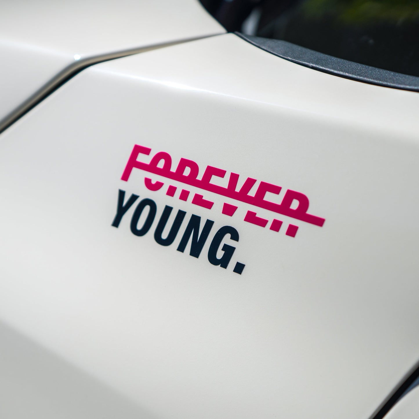 FOREVER YOUNG